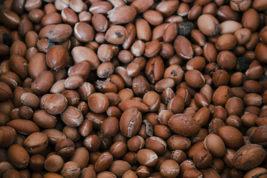 What Makes the Argan Kernel So Extraordinary